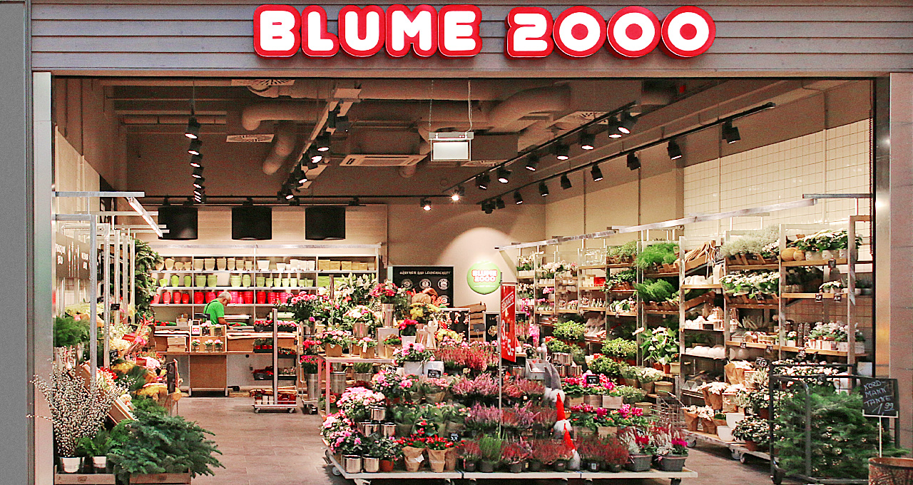 Blume 2000 CITTIPARK Kiel
