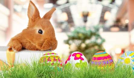 Easter market