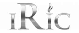 iRic